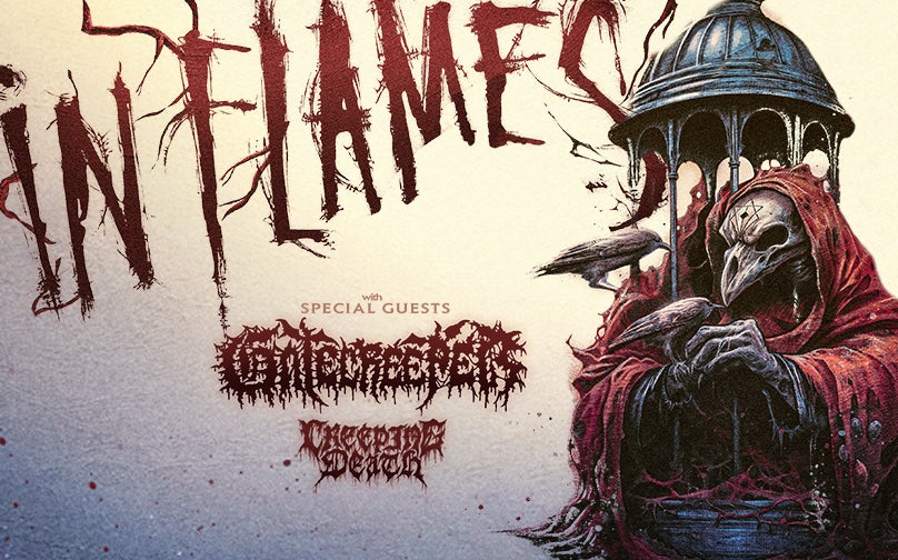 More Info for In Flames